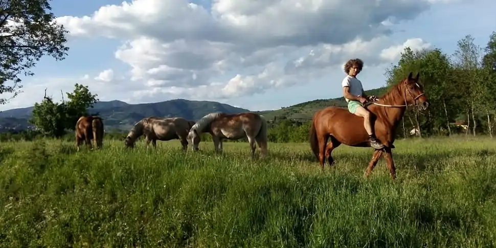 Alberto mit den Pferden Agriturismo Il Moro